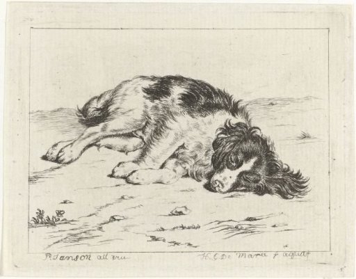 Sleeping dog