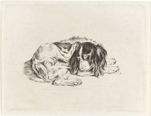 Lying dog