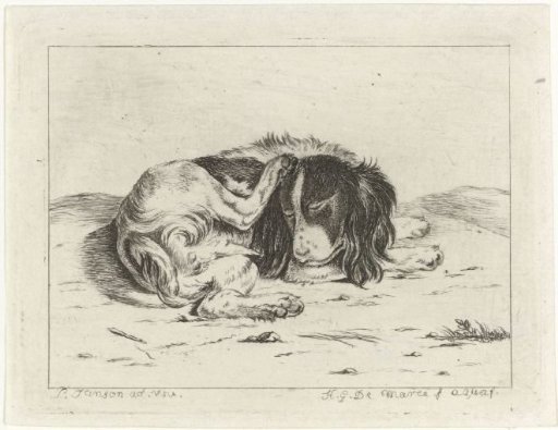 Sleeping dog