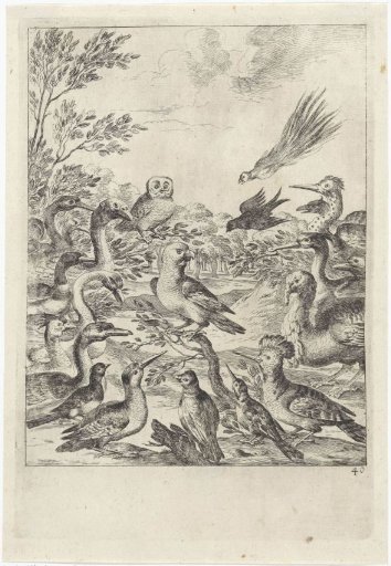 Parliament of Birds