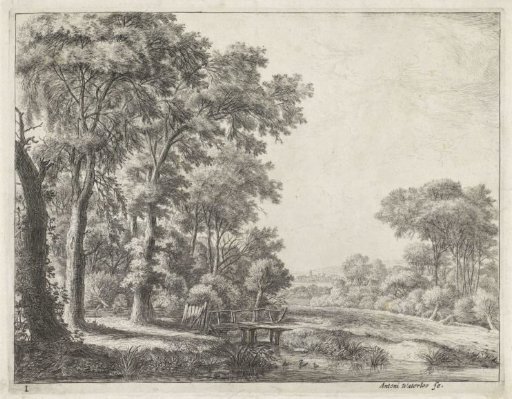 Forest edge with a wooden bridge