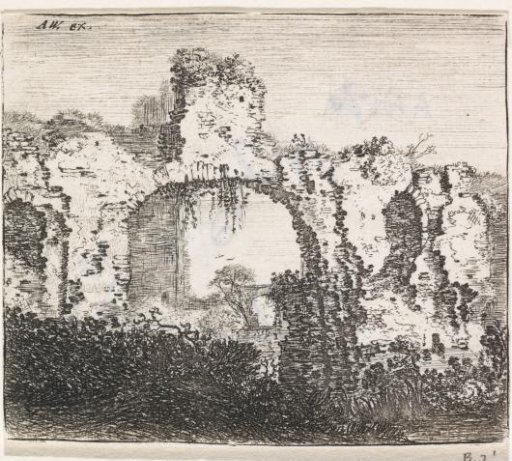 Overgrown Ruin