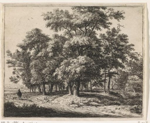 Man with a Dog in a Forest
