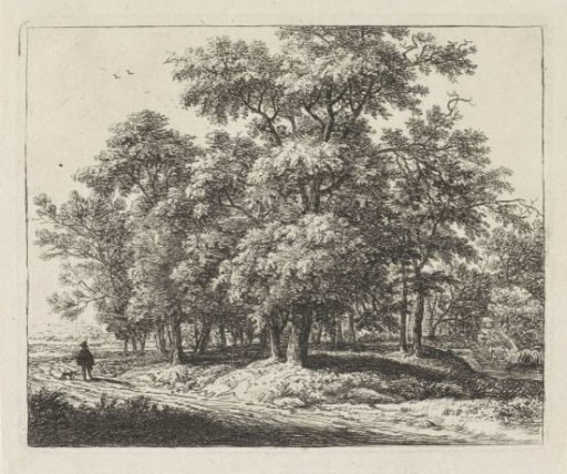 Man with a Dog in a Forest