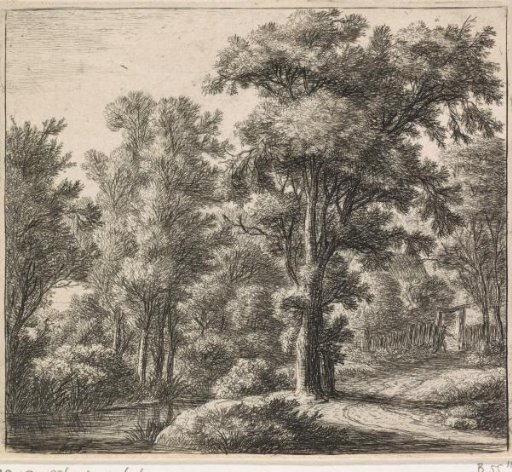 Entrance to the Forest