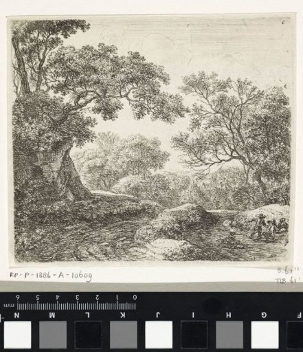 Three boys with dogs