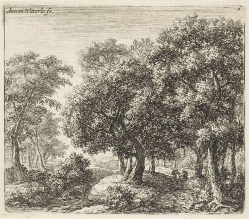 Two figures on a forest path