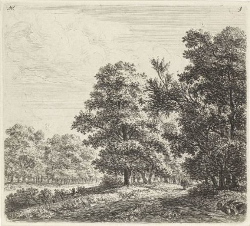 Two forest paths