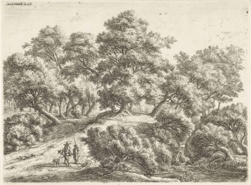 Falconer and hunter in the woods