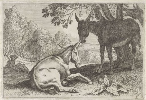 Donkeys