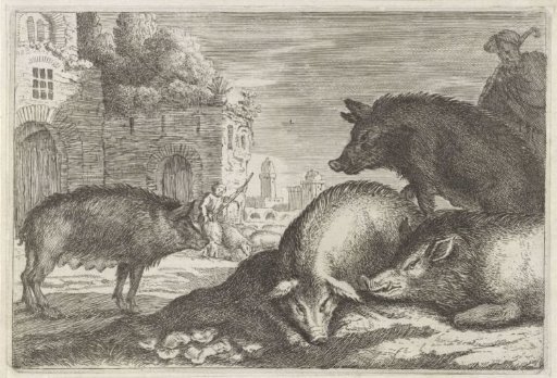 Pigs