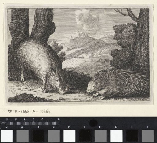 Landscape with wild boar and porcupine