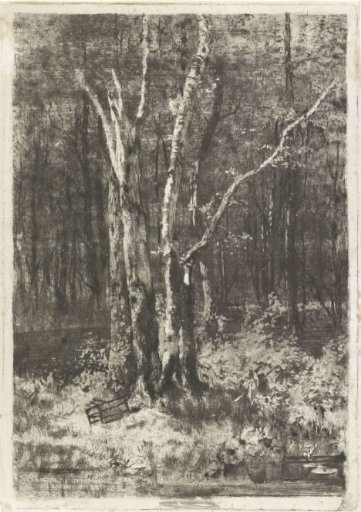 Forest View