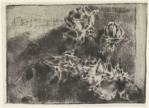 Rose Branch