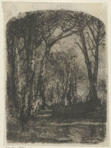 Forest View