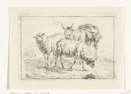 Donkey and two sheep