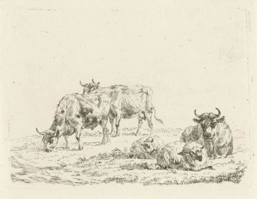 Three oxen and two sheep