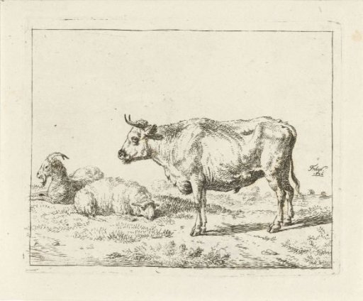 Goat, sheep and standing ox