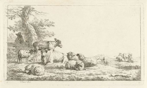 Shepherd looking at a herd of animals
