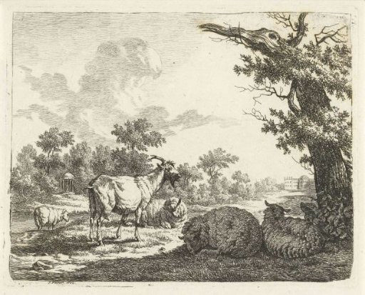 Estate with sheep and a goat