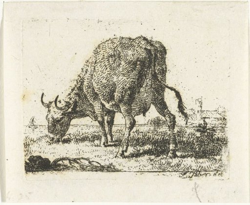 Grazing cow at the water's edge