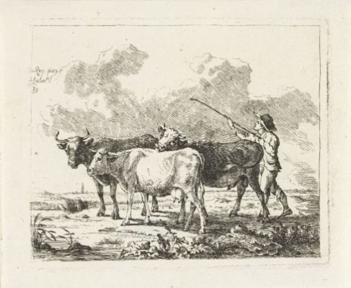 Farmer with three cows