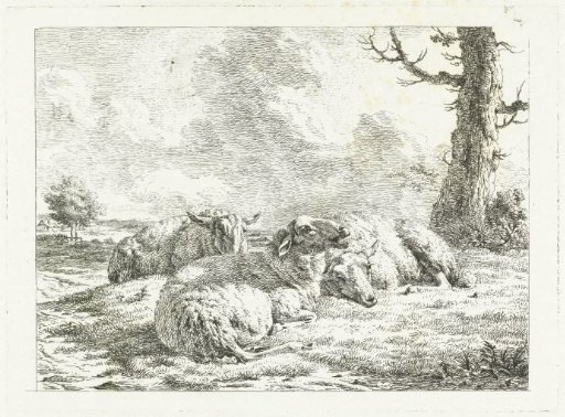 Three sheep lying near a bare tree