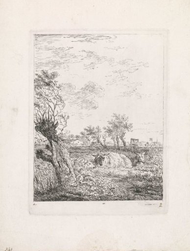 Sheep and a goat in a meadow