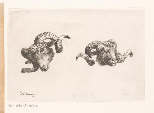 Two ram's heads