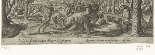 Elephant hunting