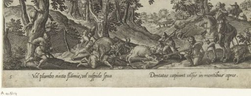 Boar hunting