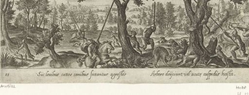 Hunting of wild cats