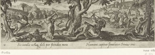 Monkey hunting