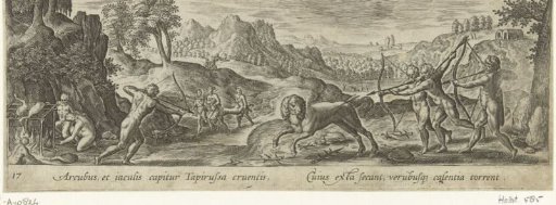 Hunting of a tapir