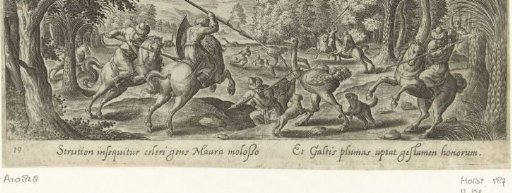 Hunting of ostriches