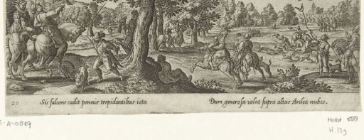 Falcon hunting