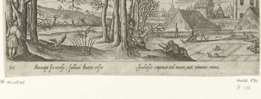 Hunting of the buzzard