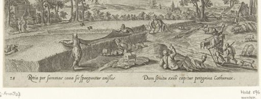 Hunting of birds with the aid of a net