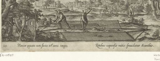 Finch hunting