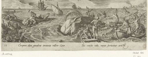Whale hunting