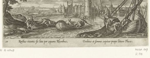 Hunting seals