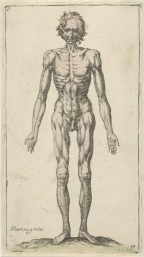Study of a nude man