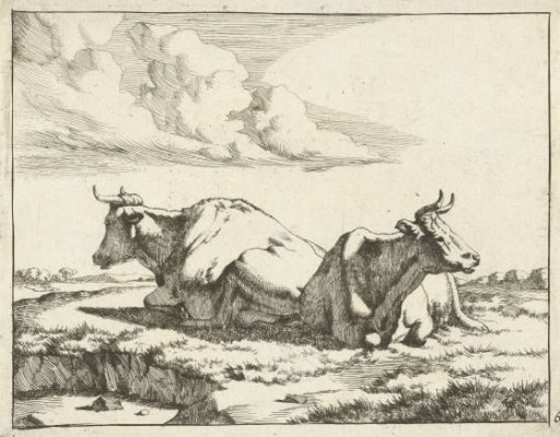 Two lying cows