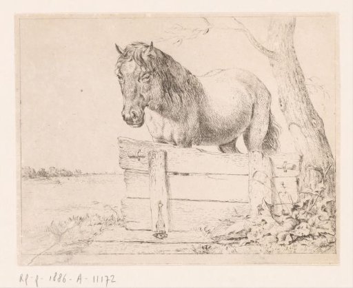 Horse behind a Wooden Partition