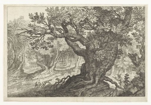 Fox Hunt In A Forest