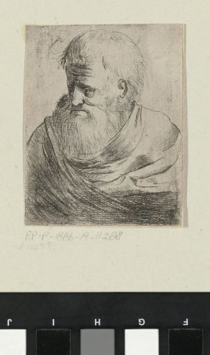 Bust of an Old Man with a Beard