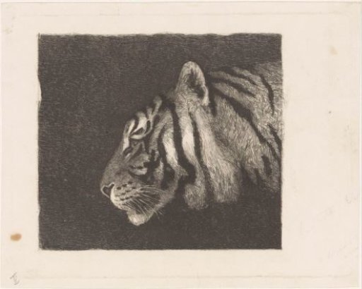Tiger's head