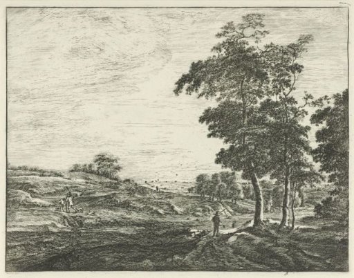 At the Edge of the Hague Forest