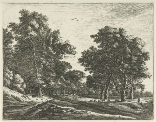 Clearing in the Haagse Bos
