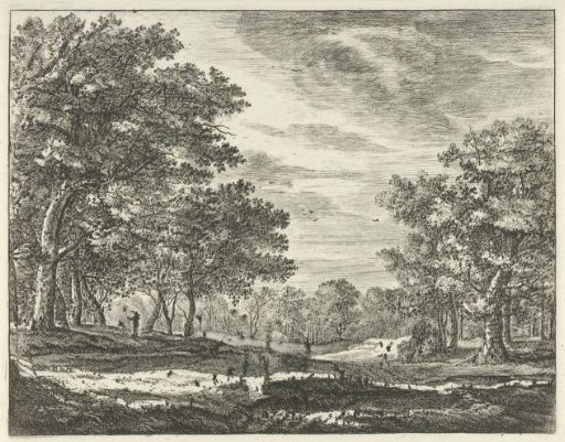 Walker in the Hague Forest